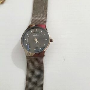 Skagen Ladies Quartz Stainless Steel watch A233XSSTM